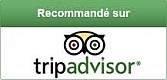 tripadvisor